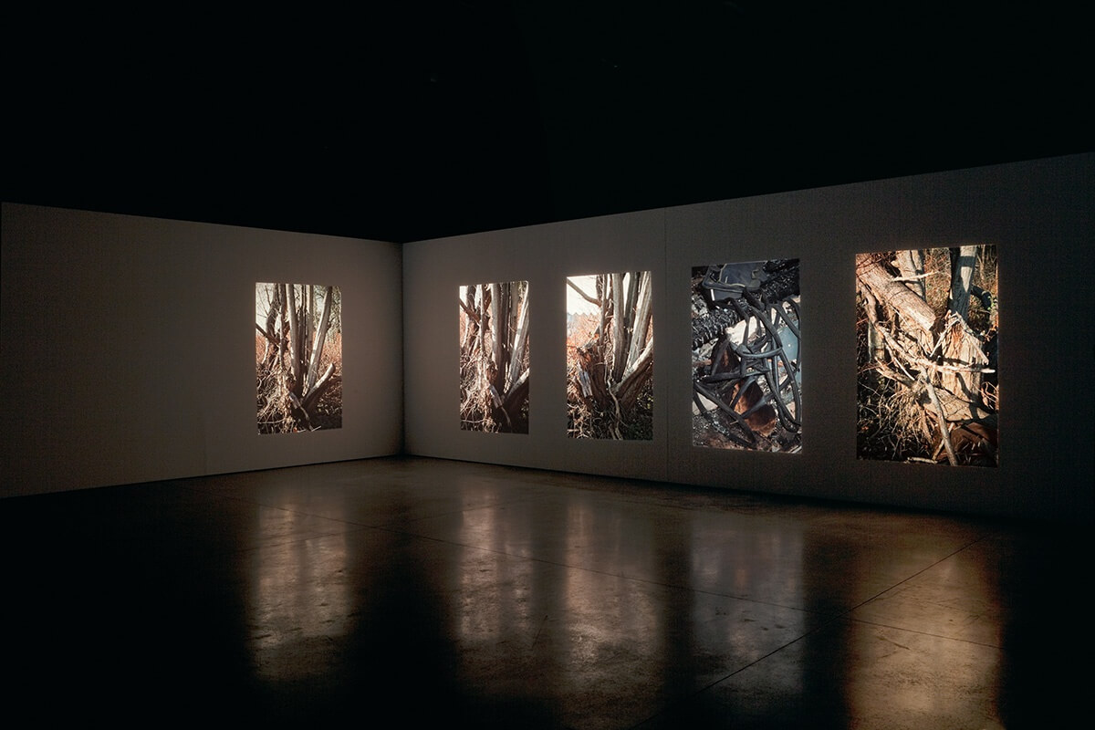 untitled (identity of place), KASK School of Arts, Ghent, 2012<br />
slide projection with 6 projectors
