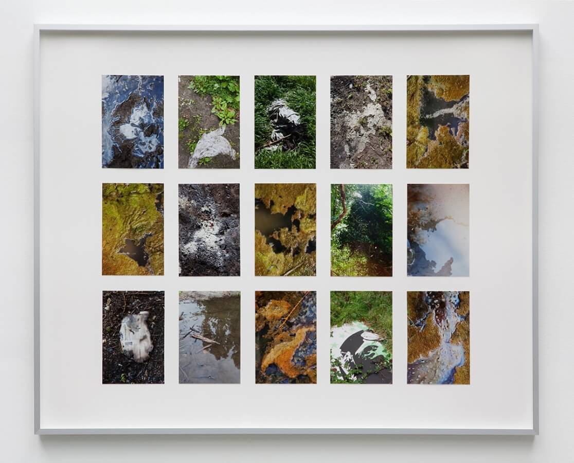 Wondelgemse Meersen. Archiv, 2012/15<br />
15 archival pigment prints, 10 x 15 cm, mounted on cardboard, framed, 65 x 80 cm